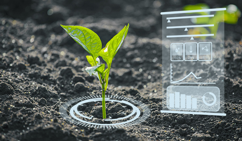 Growers are expected to increase crop production and maximize yields. In this article, we will discuss artificial intelligence (AI) in agriculture and sustainable food technology.